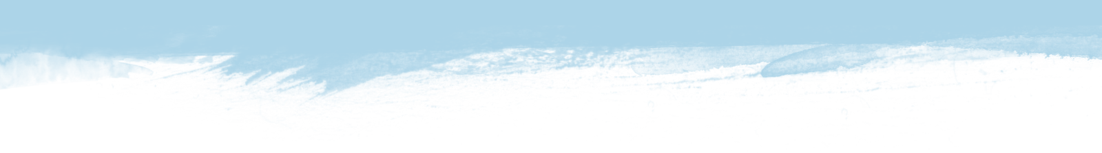 5442b4132cb2be0838c638e8_bottom-bg.png